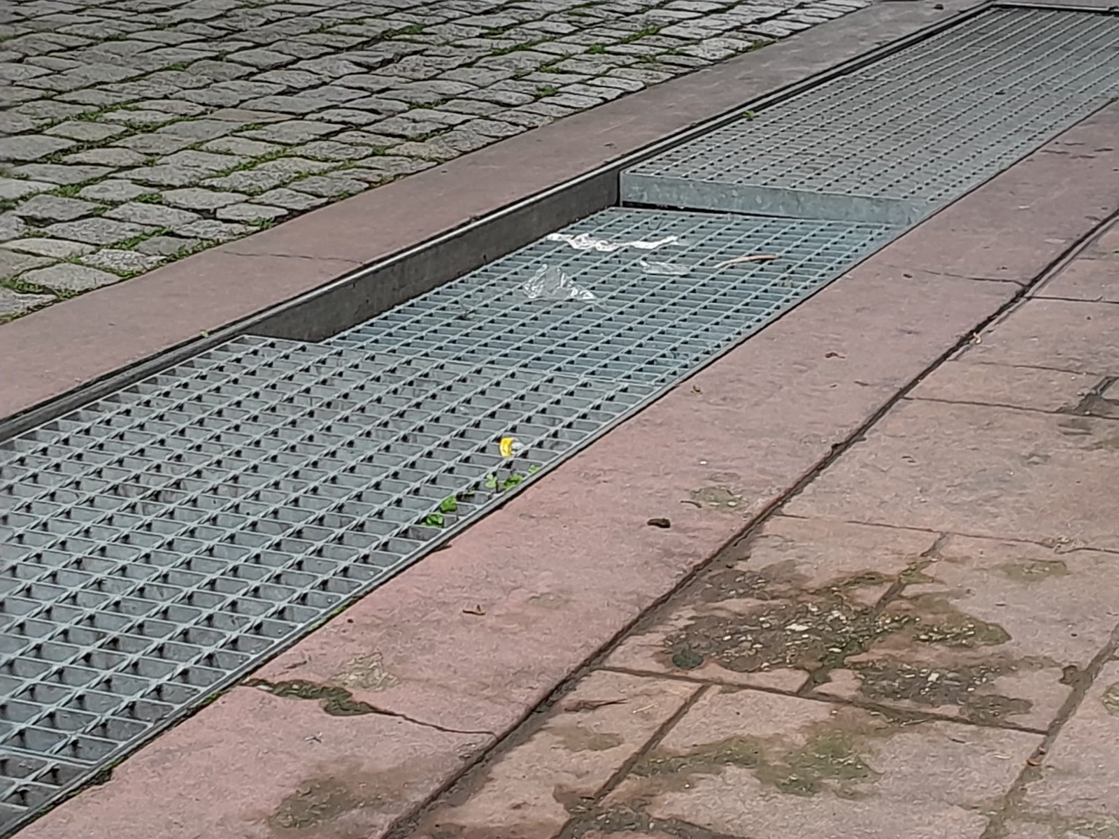 WhatsApp Image 2024 05 20 a 20.39.50_c559121c